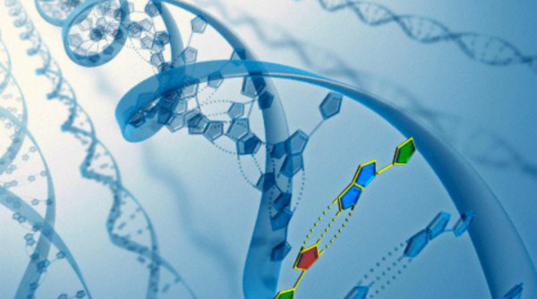 Crispr, il taglia e cuci del dna