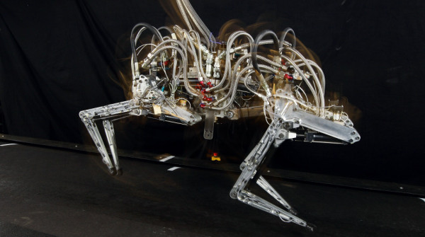 Il robot ghepardo