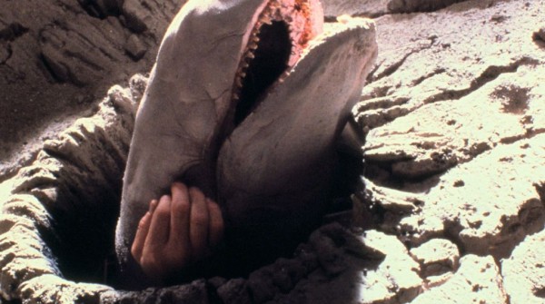 Exogorth. Sembravano giganti, vero?